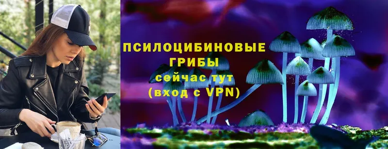 Псилоцибиновые грибы ЛСД  купить  сайты  Армавир 